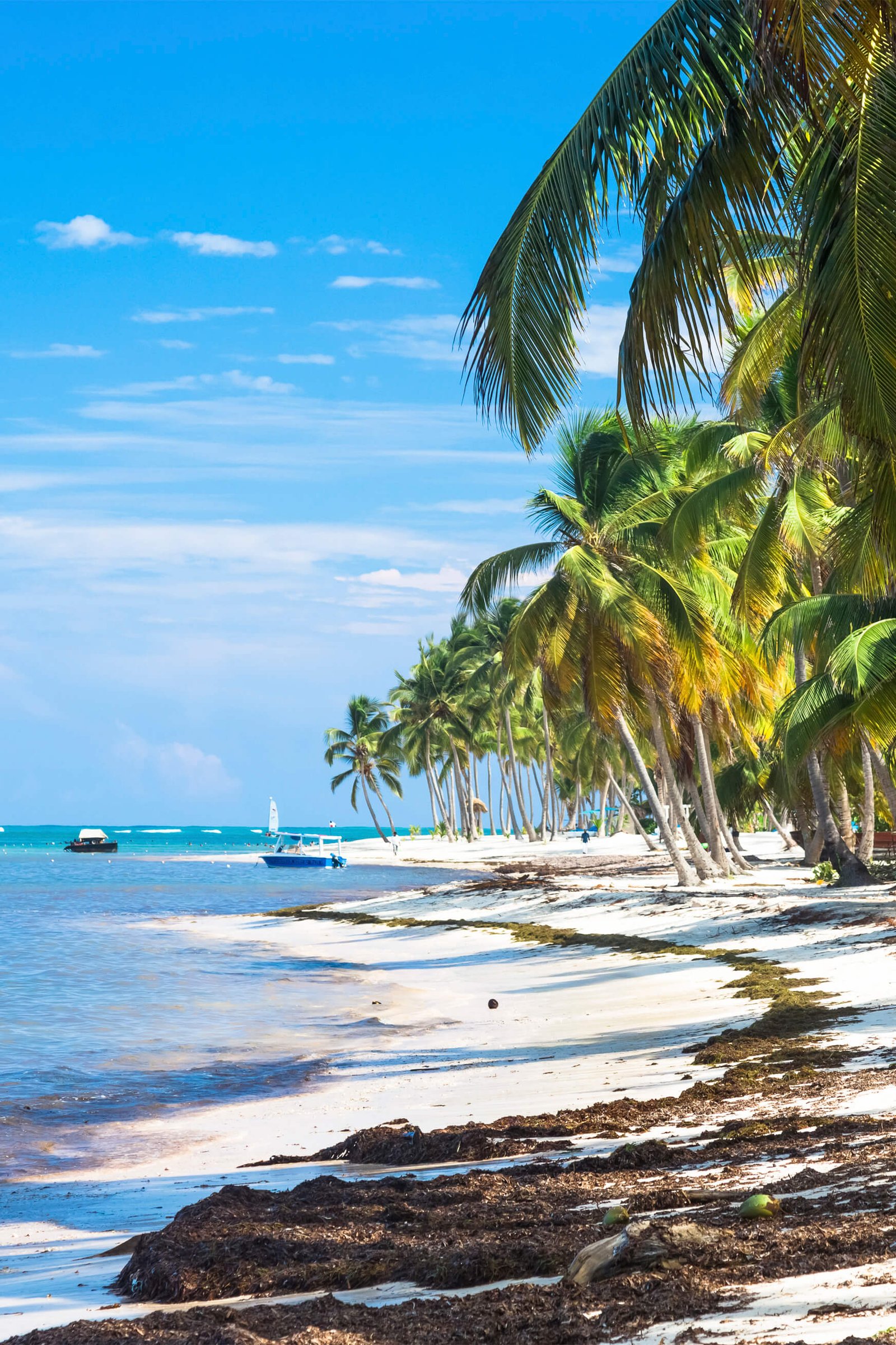 Elinor en República Dominicana